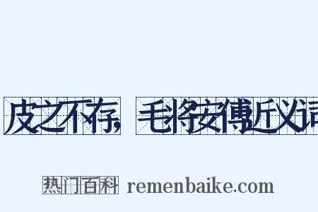 皮之不存，毛将安傅近义词是什么意思的图片